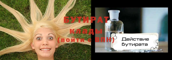 индика Алзамай