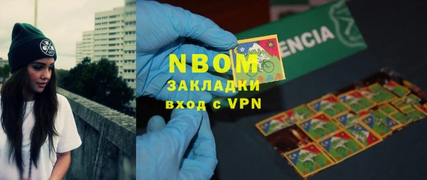 индика Алзамай