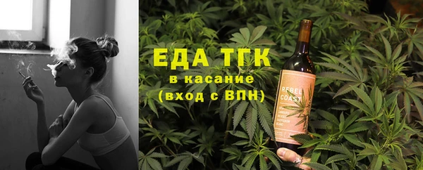 индика Алзамай