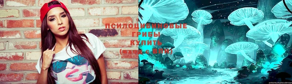 индика Алзамай