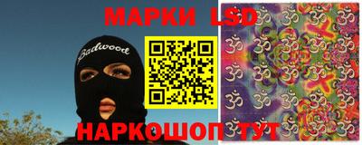 индика Можга