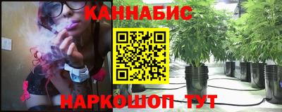 индика Можга