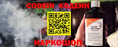 индика Можга