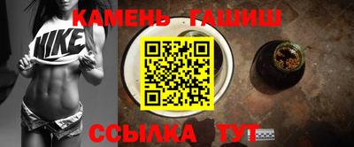 индика Можга