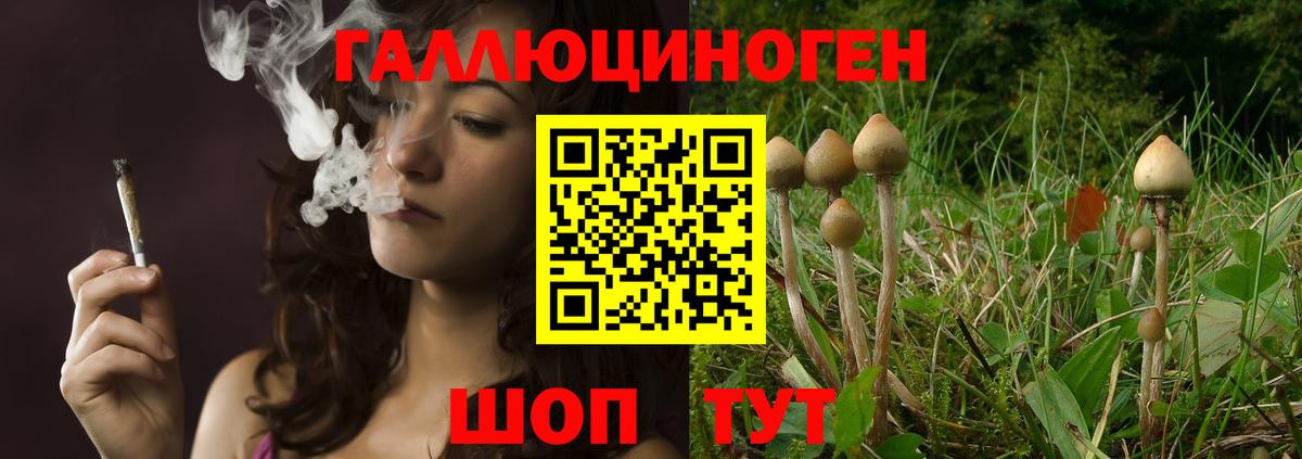 Галлюциногенные грибы мицелий  Вход с VPN  Ставрополь 